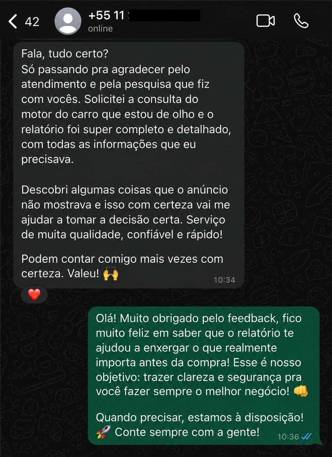 Cliente relatando que o relatório da consulta de motor foi completo e detalhado