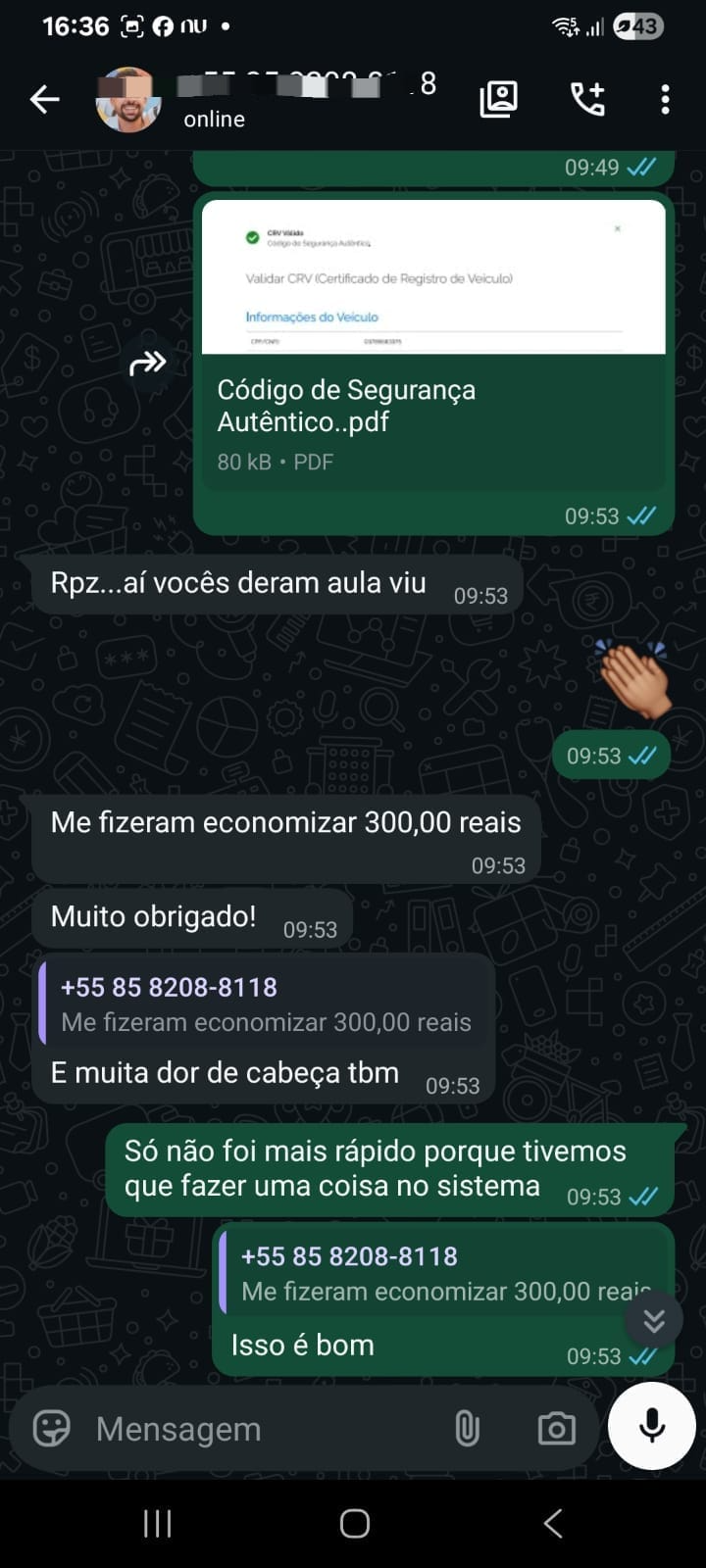 Conversa real com cliente 3 confirmando consulta de motor