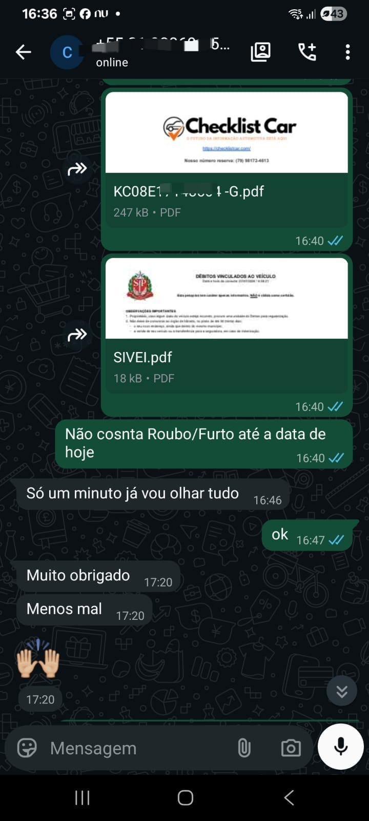 Conversa real com cliente 4 confirmando consulta de motor